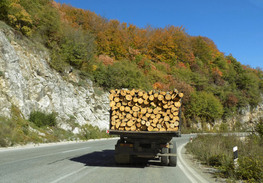 Lutter contre le vol de bois - Fransylva 83