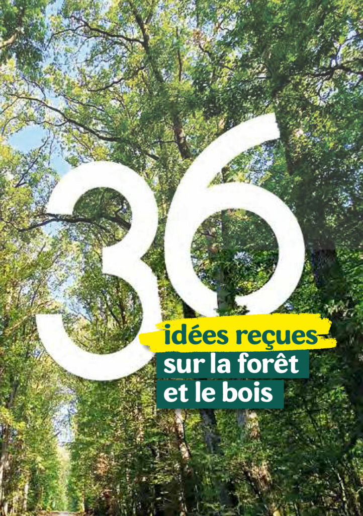 36 idées reçues sur la forêt et le bois
